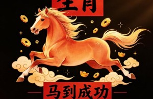劳师袭远打一精准什么正确生肖，阐释成语落实作答